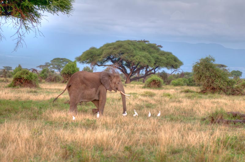 kenya_2012_KEN_1609_hdr